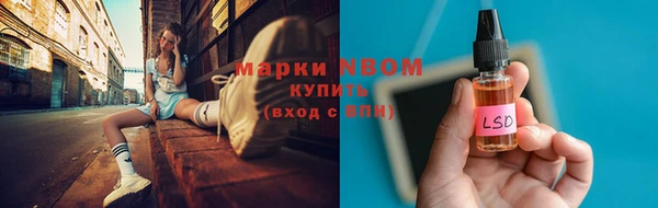 ПСИЛОЦИБИНОВЫЕ ГРИБЫ Козловка