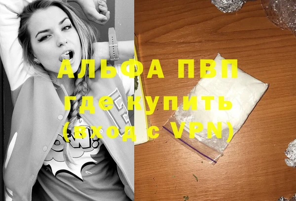spice Коряжма