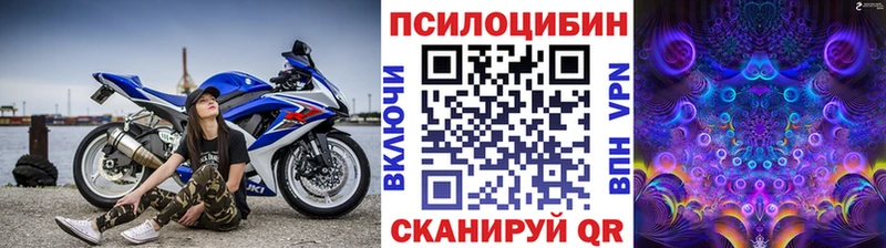 Купить  Бахчисарай  Галлюциногенные грибы Cubensis 